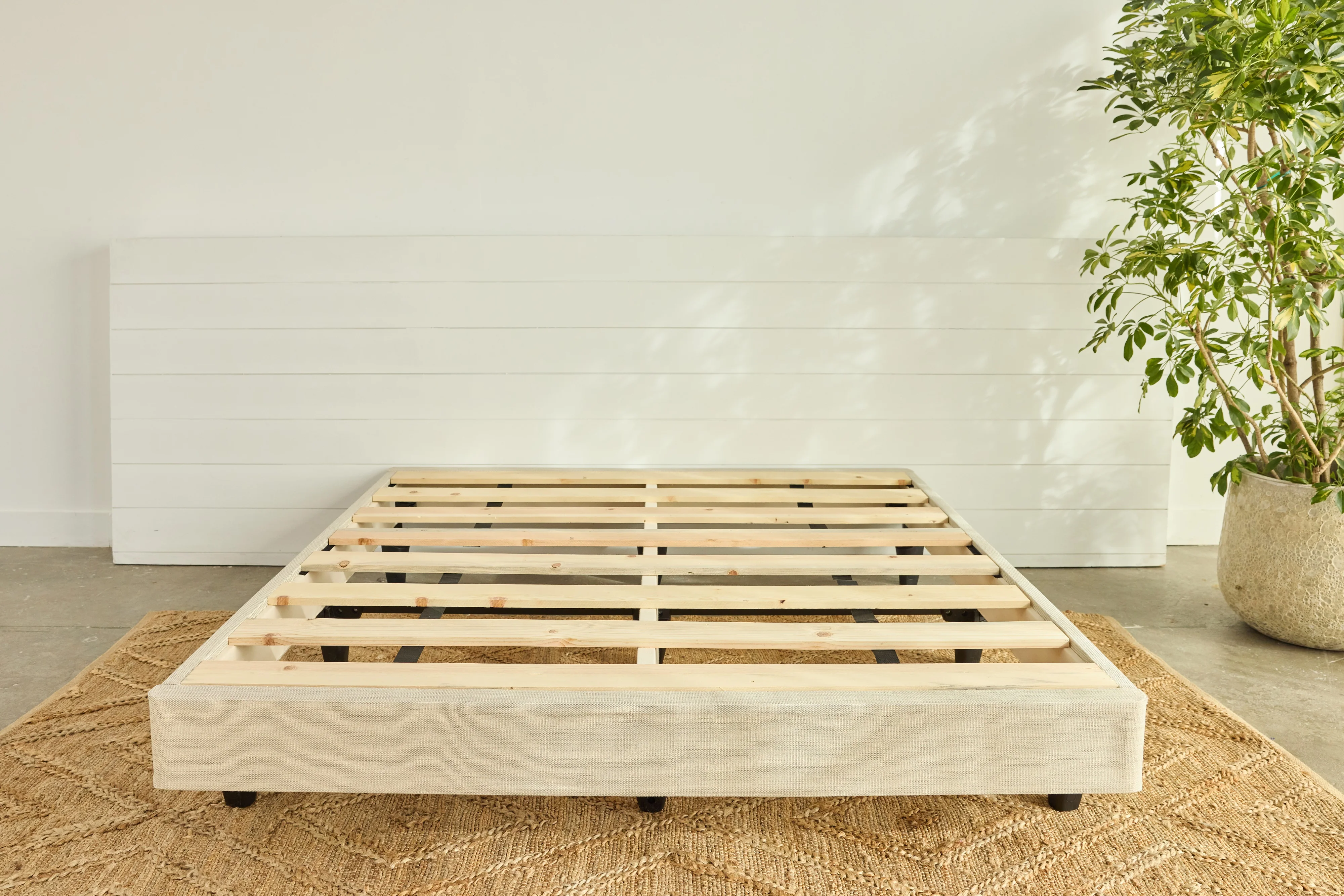 Avocado Green Foundation - Image 5