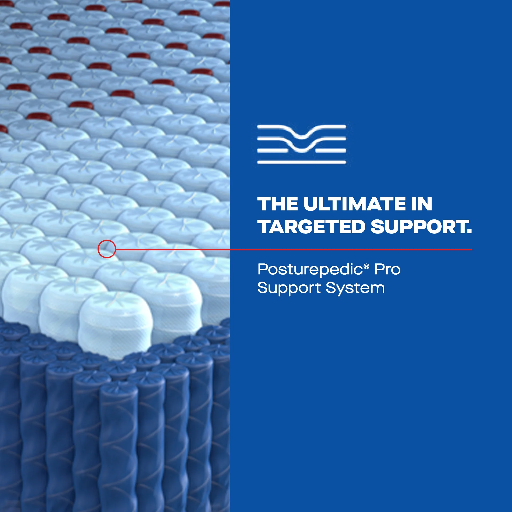 Sealy Posturepedic Pro Gratified2 Medium Euro Pillow Top - Image 5